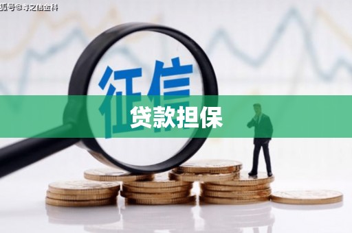 山上贷款担保