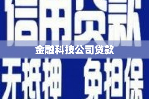 代县金融科技公司贷款