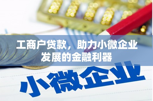 分宜工商户贷款,助力小微企业发展的金融利器 分宜工商户贷款,助力小微企业发展的金融利器