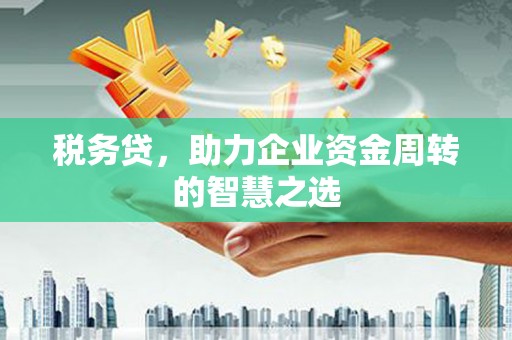 隆昌税务贷，助力企业资金周转的智慧之选
