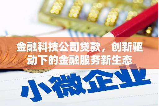 温宿金融科技公司贷款，创新驱动下的金融服务新生态