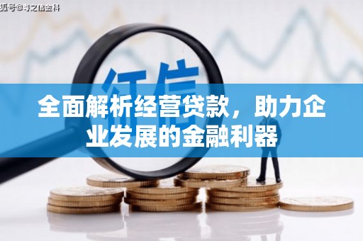 瀍河全面解析经营贷款，助力企业发展的金融利器
