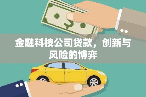 观音金融科技公司贷款，创新与风险的博弈