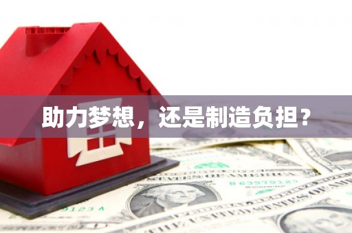 惠济助力梦想，还是制造负担？