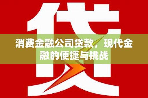 田家庵消费金融公司贷款，现代金融的便捷与挑战