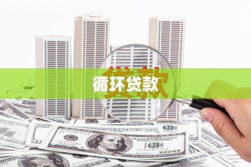 定兴循环贷款