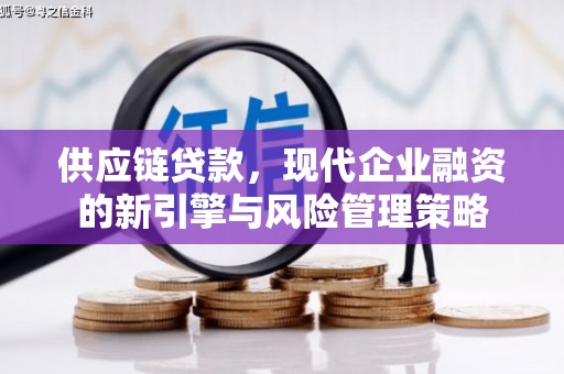 岱岳供应链贷款，现代企业融资的新引擎与风险管理策略