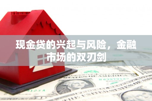 隆子现金贷的兴起与风险，金融市场的双刃剑