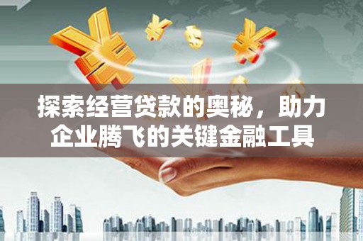 东宝探索经营贷款的奥秘，助力企业腾飞的关键金融工具
