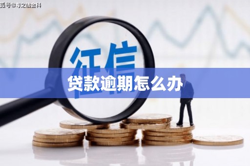 汉源贷款逾期怎么办