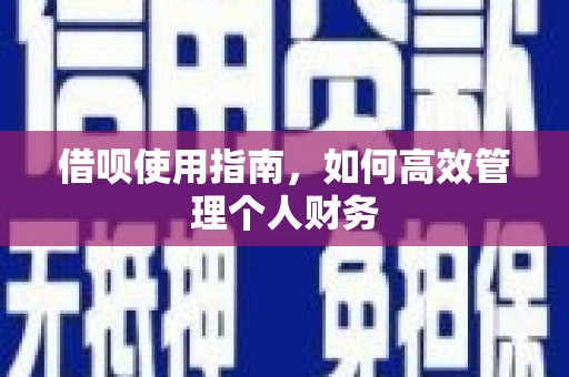 工布江达借呗使用指南，如何高效管理个人财务