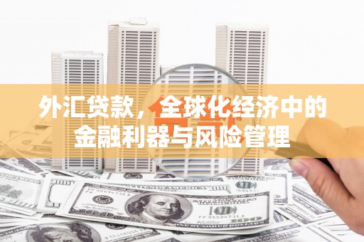 甘孜外汇贷款，全球化经济中的金融利器与风险管理