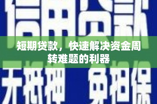 苑里短期贷款，快速解决资金周转难题的利器