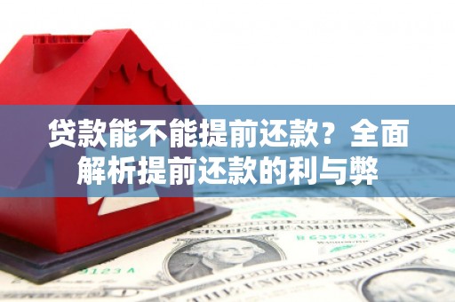 巍山贷款能不能提前还款？全面解析提前还款的利与弊