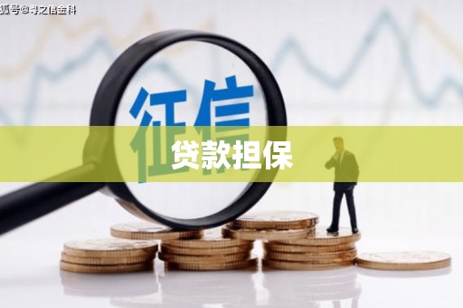 故城贷款担保