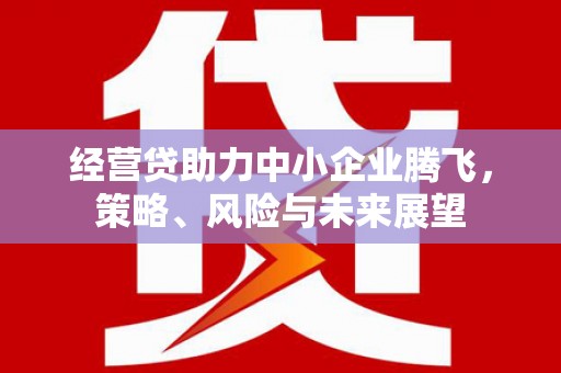 沐川经营贷助力中小企业腾飞，策略、风险与未来展望
