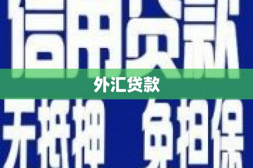 双滦外汇贷款