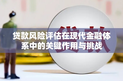 长兴贷款风险评估在现代金融体系中的关键作用与挑战