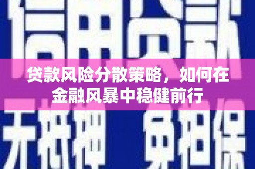 大余贷款风险分散策略，如何在金融风暴中稳健前行