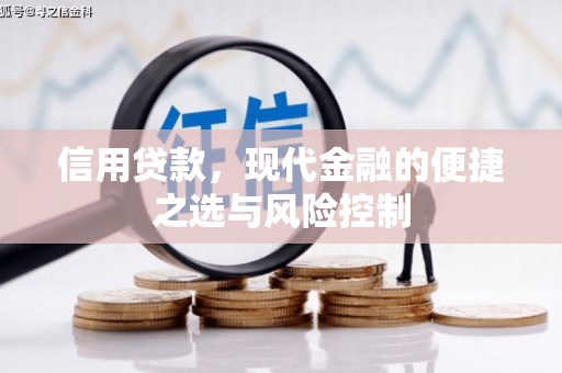 盐池信用贷款，现代金融的便捷之选与风险控制