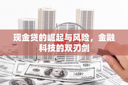 巩留现金贷的崛起与风险，金融科技的双刃剑