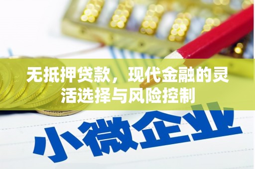 永新无抵押贷款，现代金融的灵活选择与风险控制