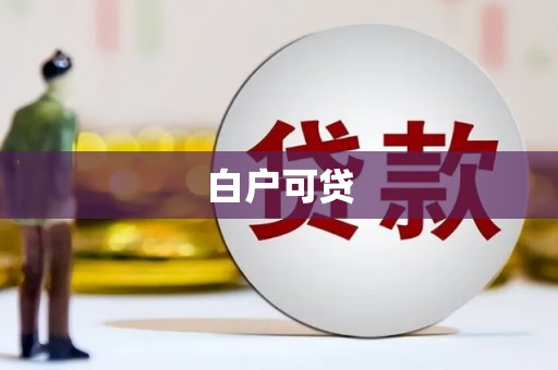 鸡东白户可贷