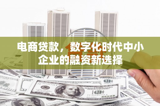 塔什库尔干塔吉克电商贷款，数字化时代中小企业的融资新选择