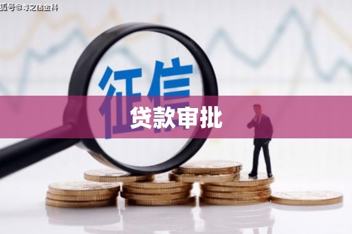 维西贷款审批