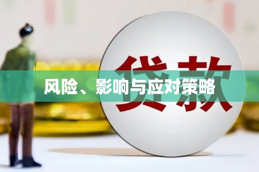 普定风险、影响与应对策略