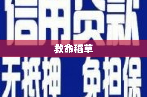 虞城救命稻草