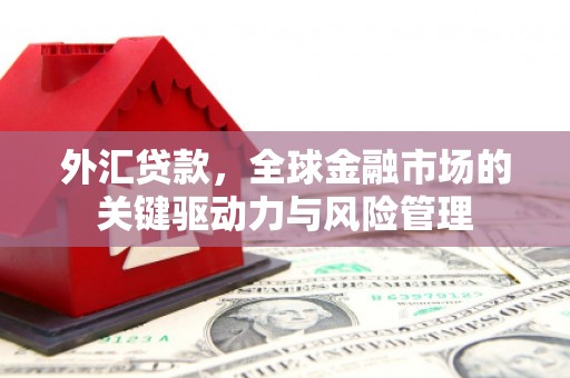 禅城外汇贷款，全球金融市场的关键驱动力与风险管理