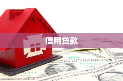 西市信用贷款