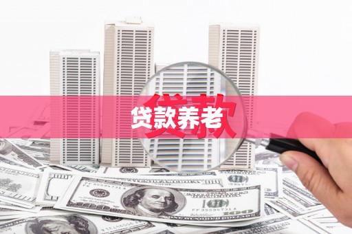 尼玛贷款养老
