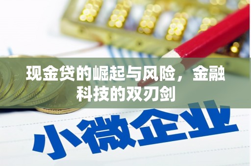 剑川现金贷的崛起与风险，金融科技的双刃剑