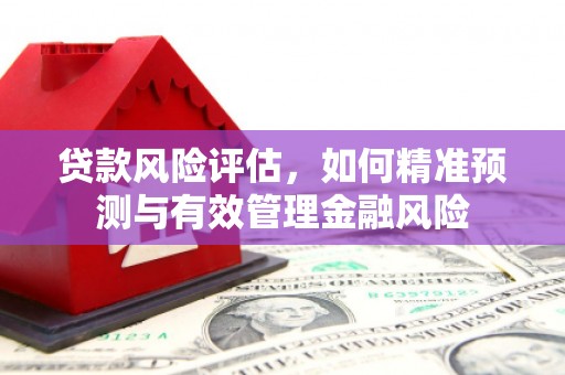 疏附贷款风险评估，如何精准预测与有效管理金融风险
