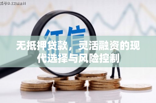 埌东无抵押贷款，灵活融资的现代选择与风险控制
