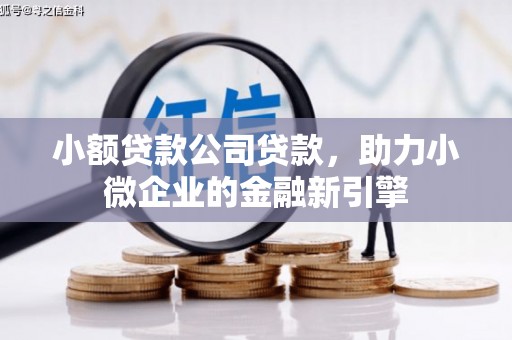 华阴小额贷款公司贷款，助力小微企业的金融新引擎