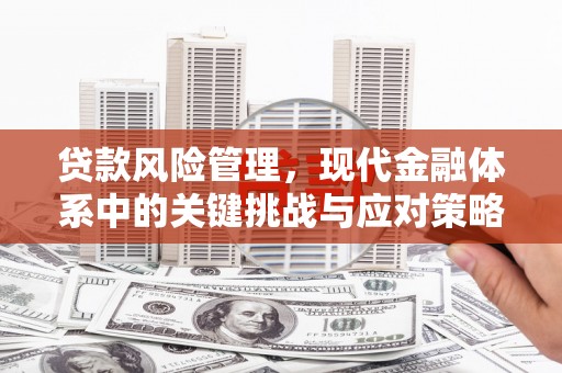 平潭贷款风险管理，现代金融体系中的关键挑战与应对策略