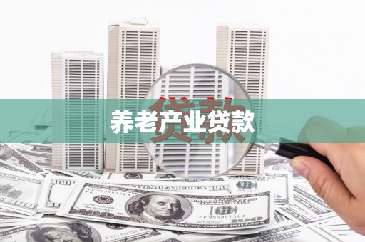 上林养老产业贷款