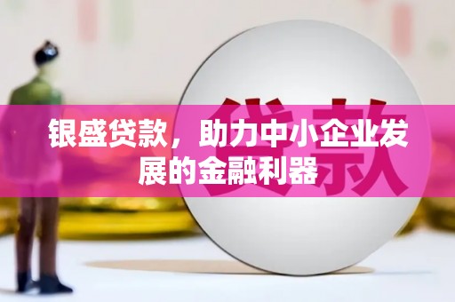 龙崎银盛贷款，助力中小企业发展的金融利器