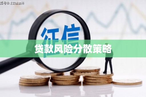 黄平贷款风险分散策略
