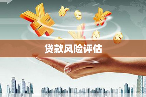 谯城贷款风险评估
