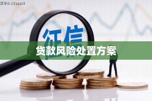 江海贷款风险处置方案