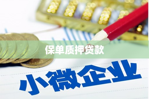 建宁保单质押贷款