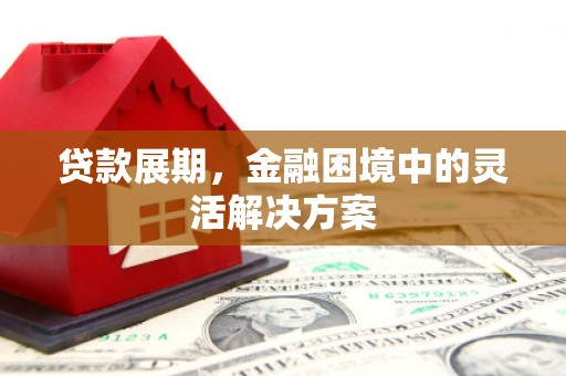 恩平贷款展期，金融困境中的灵活解决方案