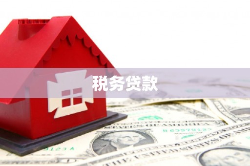 米林税务贷款