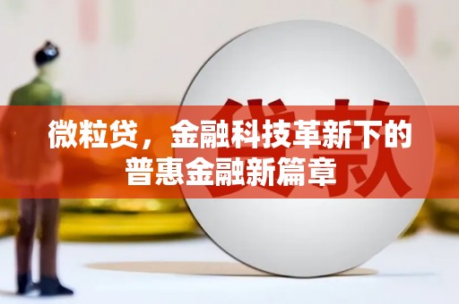 兰州微粒贷，金融科技革新下的普惠金融新篇章