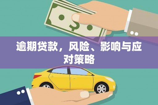 雷州逾期贷款，风险、影响与应对策略