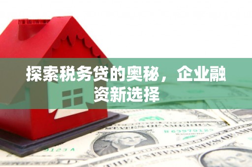 永靖探索税务贷的奥秘，企业融资新选择